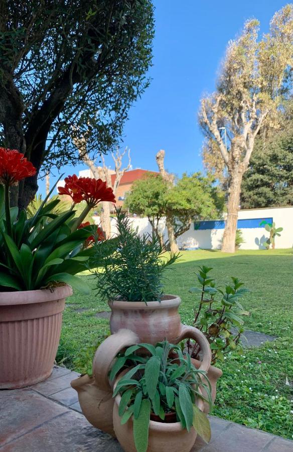 فريجيني Casa Vacanze Costa Marina المظهر الخارجي الصورة
